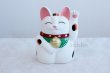 Photo1: Japanese Lucky Cat Tokoname YT Porcelain Maneki Neko Mansuke left hand H21cm (1)