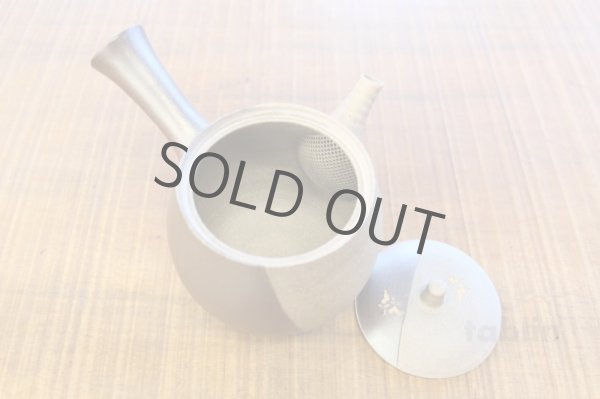 Photo2: Tokoname Japanese tea pot kyusu YT Yakishime butterfly Seiho 370ml (2)