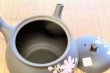 Photo3: Tokoname ware Japanese tea pot kyusu ceramic strainer YT Shoryu cosmos 300ml (3)
