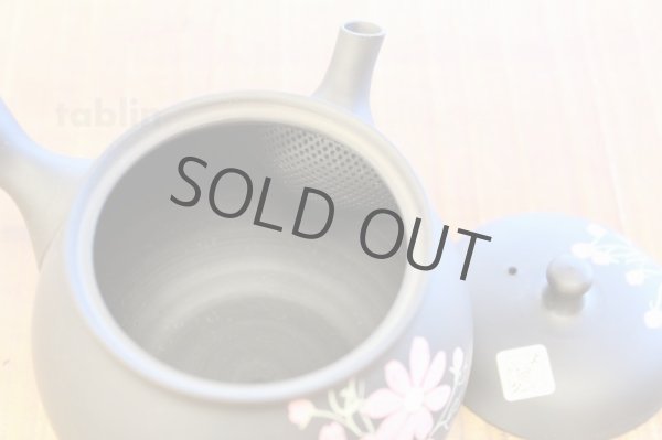 Photo3: Tokoname ware Japanese tea pot kyusu ceramic strainer YT Shoryu cosmos 300ml (3)