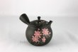 Photo4: Tokoname ware Japanese tea pot kyusu ceramic strainer YT Shoryu cosmos 300ml (4)