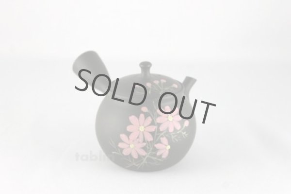 Photo4: Tokoname ware Japanese tea pot kyusu ceramic strainer YT Shoryu cosmos 300ml (4)