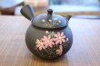 Photo1: Tokoname ware Japanese tea pot kyusu ceramic strainer YT Shoryu cosmos 300ml (1)