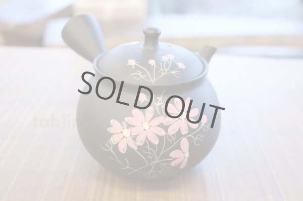 Photo1: Tokoname ware Japanese tea pot kyusu ceramic strainer YT Shoryu cosmos 300ml (1)