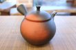 Photo11: Tokoname Japanese tea pot kyusu YT black yohen Shoryu 390ml (11)