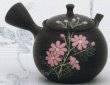 Photo5: Tokoname ware Japanese tea pot kyusu ceramic strainer YT Shoryu cosmos 300ml (5)
