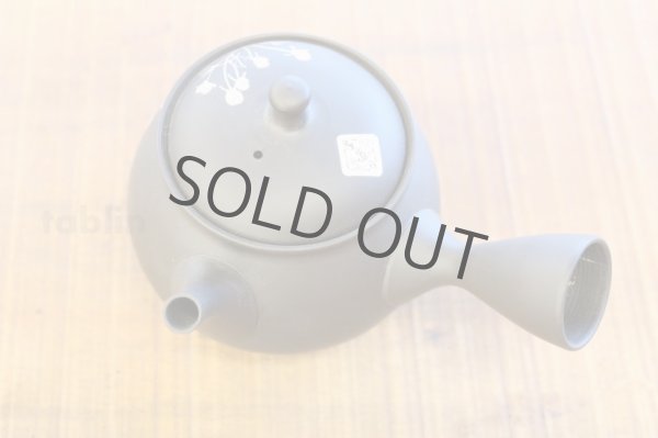 Photo2: Tokoname ware Japanese tea pot kyusu ceramic strainer YT Shoryu cosmos 300ml (2)