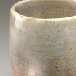 Photo4: Hagi Senryuzan climbing kiln Japanese pottery tumbler yohen ekubo set of 2 (4)