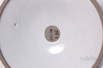 Photo1: Hasami porcelain yakishime Shiboridashi kyusu Japanese tea pot 300ml