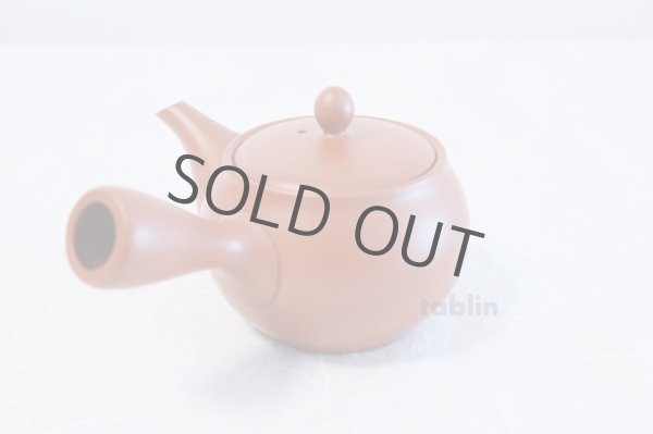 Photo2: Tokoname yaki ware Japanese tea pot morimasa red syudei ceramic tea strainer 360ml (2)