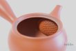 Photo4: Tokoname yaki ware Japanese tea pot morimasa red syudei ceramic tea strainer 360ml (4)