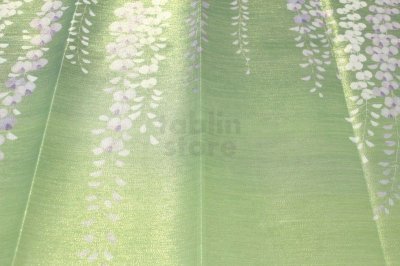 Photo3: Kyoto Noren MS Japanese door curtain Fuji Wisteria green 85 x 150cm