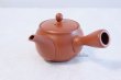 Photo1: Tokoname yaki ware Japanese tea pot morimasa red syudei ceramic tea strainer 360ml (1)