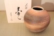 Photo1: Hagi yaki ware Japanese vase Akatuki kumo, H 23cm (1)