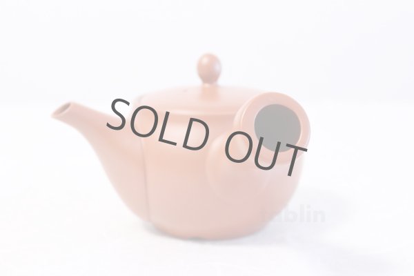 Photo5: Tokoname yaki ware Japanese tea pot morimasa red syudei ceramic tea strainer 360ml (5)