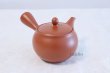 Photo3: Tokoname yaki ware Japanese tea pot morimasa red syudei ceramic tea strainer 360ml (3)