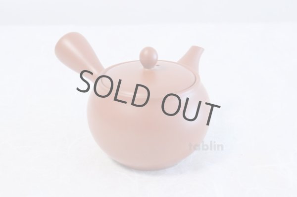 Photo3: Tokoname yaki ware Japanese tea pot morimasa red syudei ceramic tea strainer 360ml (3)