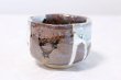Photo2: Mino ware Japanese pottery matcha chawan tea bowl toga haikaburi noten (2)