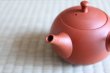 Photo5: Tokoname Japanese tea pot kyusu ceramic strainer Hokuryu round red 300ml (5)