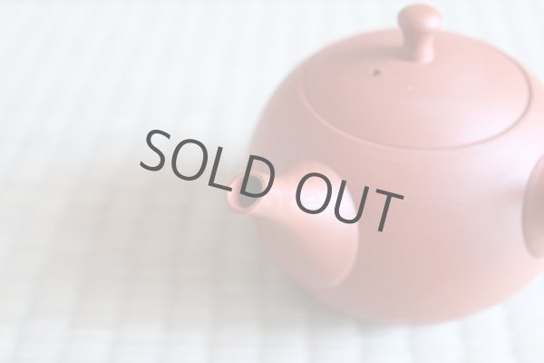 Photo5: Tokoname Japanese tea pot kyusu ceramic strainer Hokuryu round red 300ml (5)
