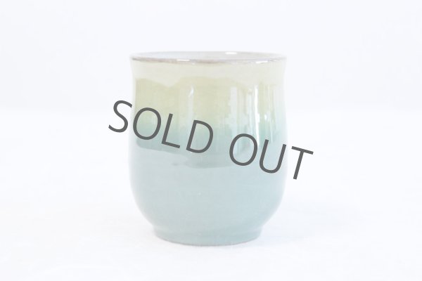 Photo5: Kutani Porcelain Yunomi Ginzan Chabana flower m3 Japanese tea cup (set of 2) (5)