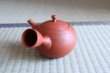 Photo2: Tokoname Japanese tea pot kyusu ceramic strainer Hokuryu round red 300ml (2)