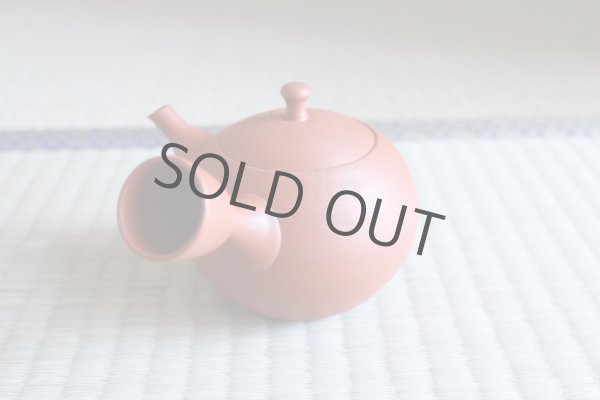 Photo2: Tokoname Japanese tea pot kyusu ceramic strainer Hokuryu round red 300ml (2)