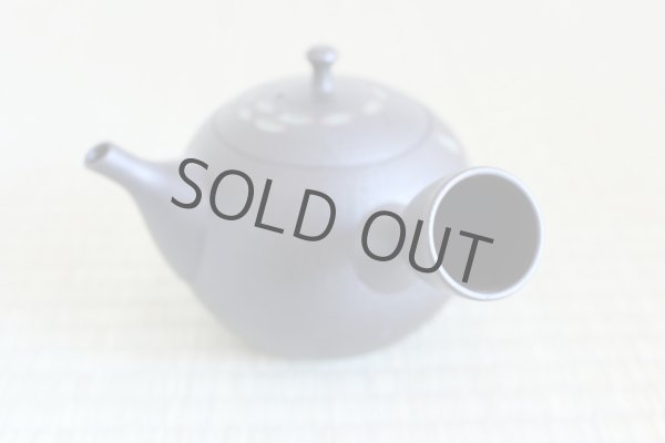 Photo4: Tokoname ware Japanese tea pot kyusu ceramic strainer YT Hokuryu nota 580ml (4)