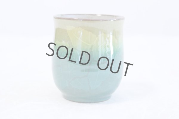 Photo3: Kutani Porcelain Yunomi Ginzan Chabana flower m3 Japanese tea cup (set of 2) (3)