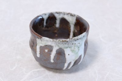 Photo1: Mino ware Japanese pottery matcha chawan tea bowl toga haikaburi noten