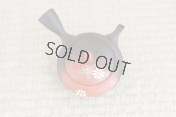 Photo5: Tokoname Japanese tea pot kyusu YT black yohen folwer Shoryu 270ml (5)