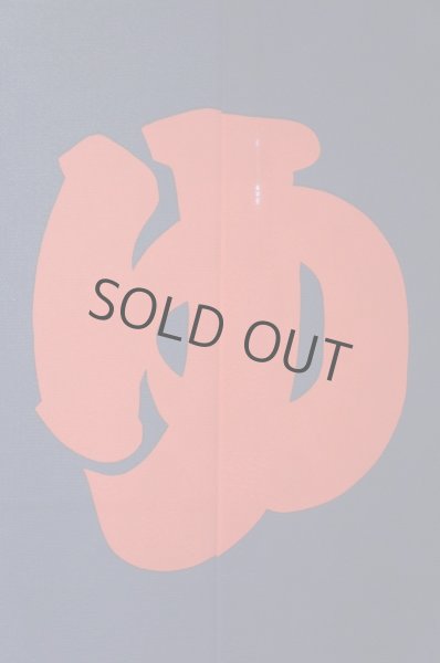 Photo2: Noren CSMO Japanese door curtain yu furo bath red text  85 x 150cm (2)