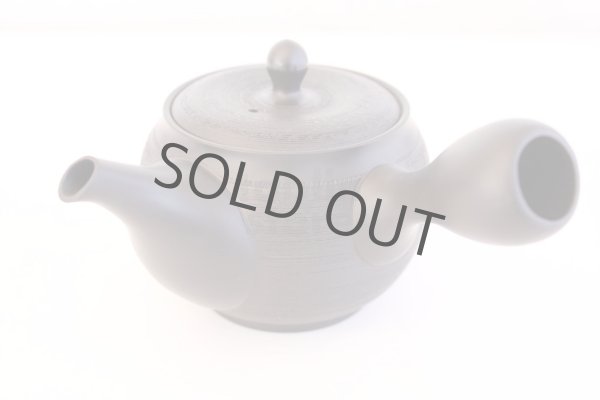 Photo2: Tokoname yaki ware Japanese tea pot Shujyu sen ceramic tea strainer 280ml (2)