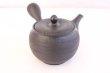 Photo3: Tokoname yaki ware Japanese tea pot Shujyu sen ceramic tea strainer 280ml (3)
