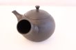 Photo2: Tokoname Japanese tea pot kyusu ceramic strainer Hokuryu round black 300ml (2)