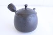 Photo3: Tokoname ware Japanese tea pot kyusu ceramic strainer YT Hokuryu biridashi 360ml (3)