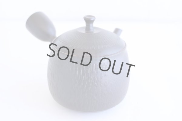 Photo3: Tokoname ware Japanese tea pot kyusu ceramic strainer YT Hokuryu biridashi 360ml (3)
