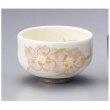 Photo7: Tokoname ware Japanese tea bowl Tairin chawan Matcha Green Tea (7)