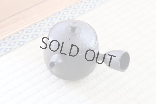 Photo9: Tokoname ware Japanese tea pot kyusu ceramic strainer YT Hokuryu biridashi 360ml (9)