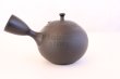 Photo6: Tokoname Japanese tea pot kyusu ceramic strainer Hokuryu round black 300ml (6)