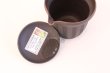 Photo6: Tokoname yaki ware Japanese tea pot Sekiryu cover ceramic tea strainer 170ml (6)