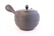 Photo5: Tokoname yaki ware Japanese tea pot Shujyu sen ceramic tea strainer 280ml (5)