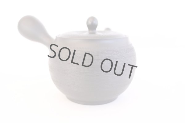 Photo5: Tokoname yaki ware Japanese tea pot Shujyu sen ceramic tea strainer 280ml (5)