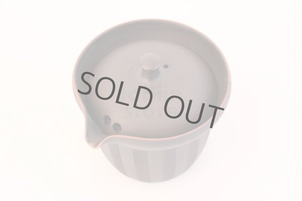 Photo5: Tokoname yaki ware Japanese tea pot Sekiryu cover ceramic tea strainer 170ml (5)
