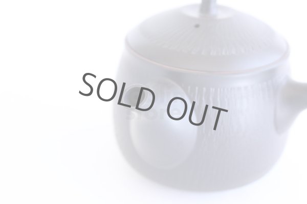 Photo4: Tokoname ware Japanese tea pot kyusu ceramic strainer YT Hokuryu biridashi 360ml (4)