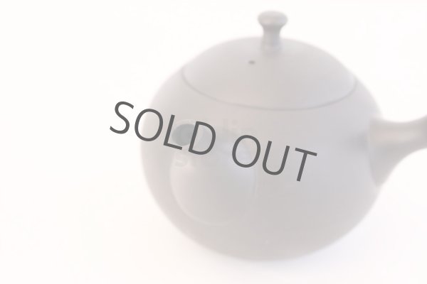 Photo4: Tokoname Japanese tea pot kyusu ceramic strainer Hokuryu round black 300ml (4)