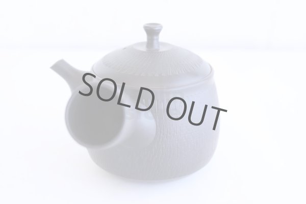 Photo2: Tokoname ware Japanese tea pot kyusu ceramic strainer YT Hokuryu biridashi 360ml (2)
