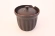 Photo3: Tokoname yaki ware Japanese tea pot Sekiryu cover ceramic tea strainer 170ml (3)