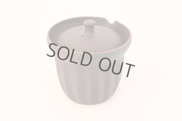 Photo3: Tokoname yaki ware Japanese tea pot Sekiryu cover ceramic tea strainer 170ml (3)
