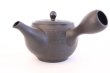 Photo4: Tokoname yaki ware Japanese tea pot Shujyu sen ceramic tea strainer 280ml (4)